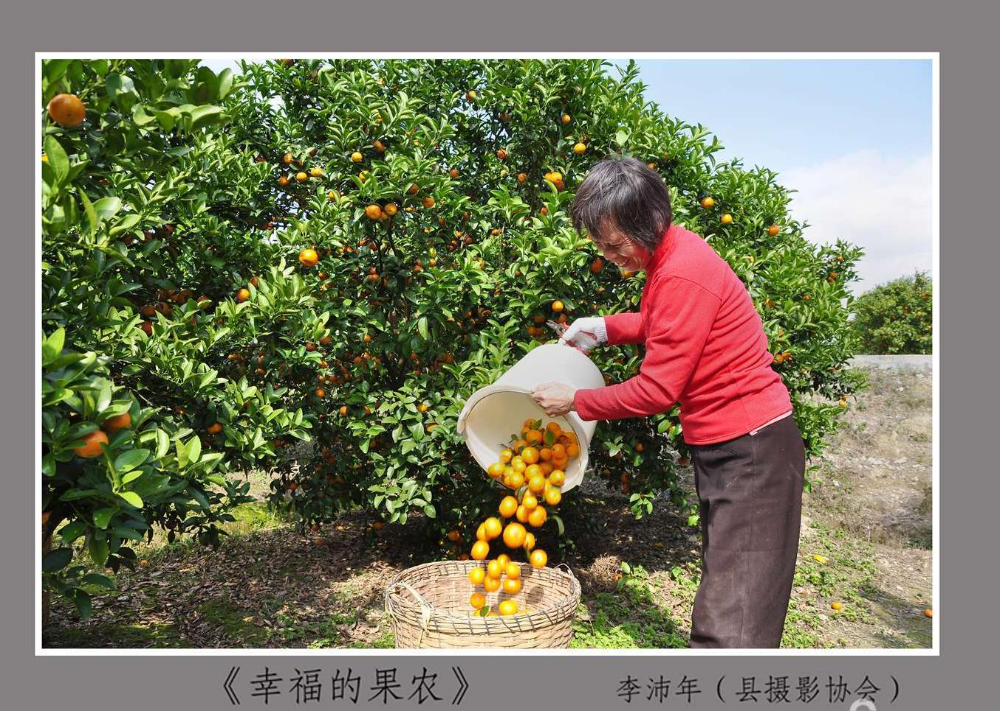 九連山攝影協會會員作品