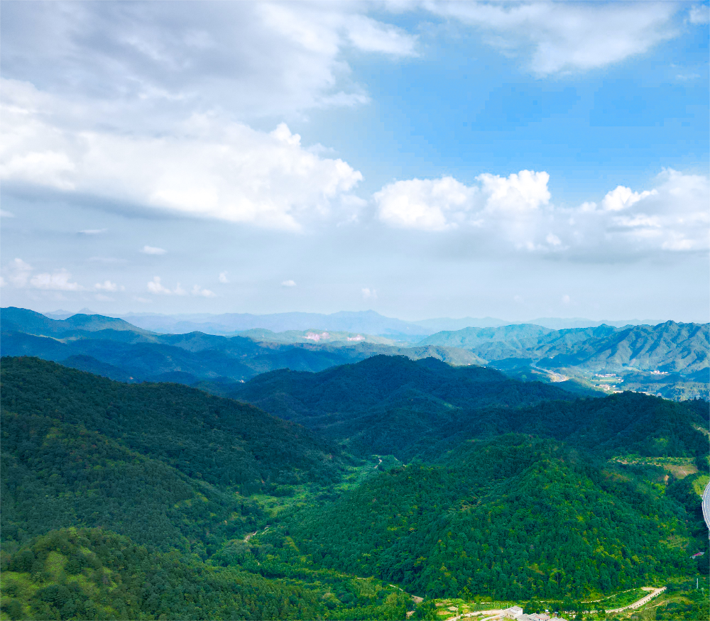 10.徑頭村雷公磜山場.png