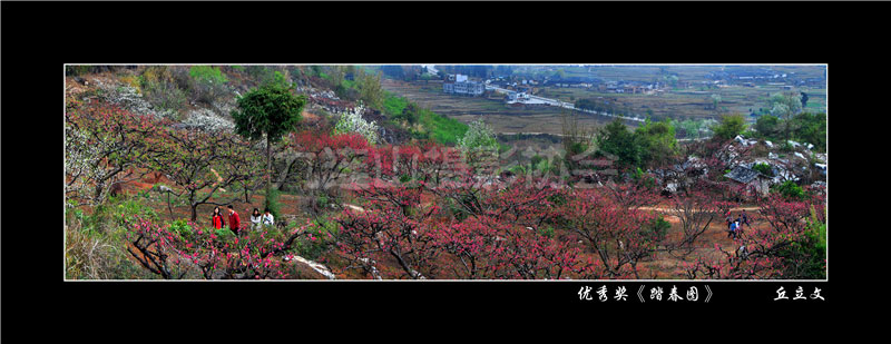 優秀獎《踏春圖》丘立文.jpg