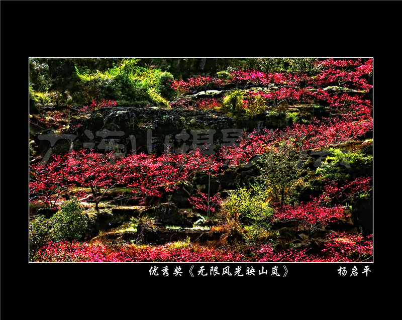 優秀獎《無限風光映山嵐》楊啟平.jpg