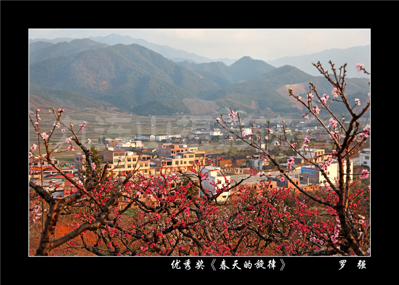優秀獎《春天的旋律》羅強 .jpg