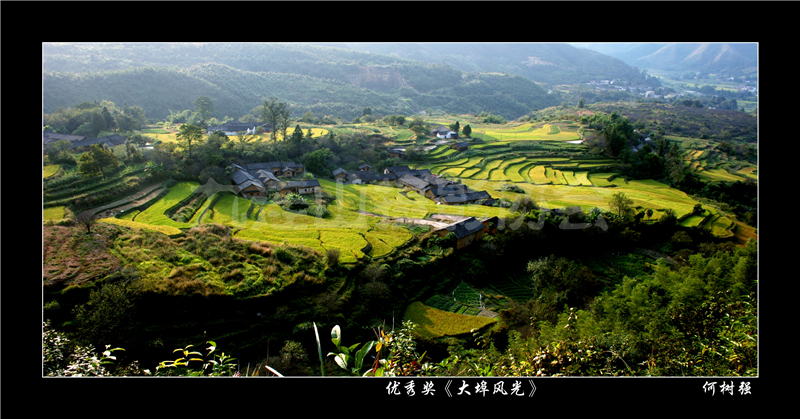 優秀獎《大埠風光》何樹強 .jpg