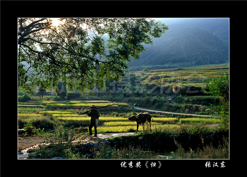優秀獎《歸》張漢東.jpg