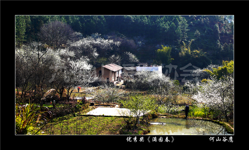 優秀獎《滿園春》何勇強 _副本.jpg