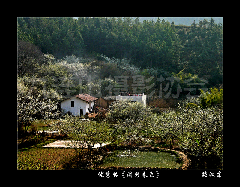 優秀獎《滿園春色》張漢東.jpg