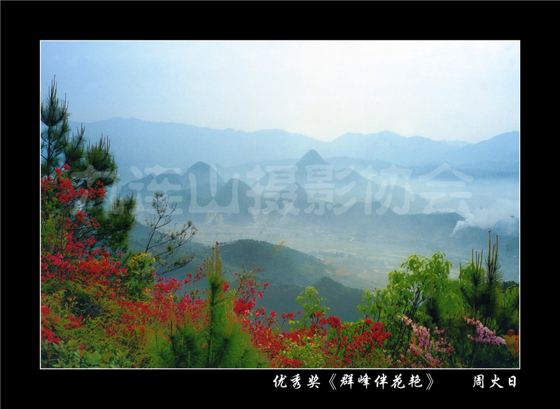 優秀獎《群峰伴花艷》周火日.jpg