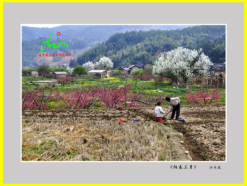《陽春三月》江永波