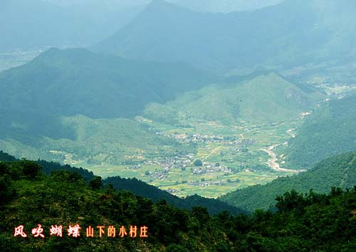 風吹蝴蝶